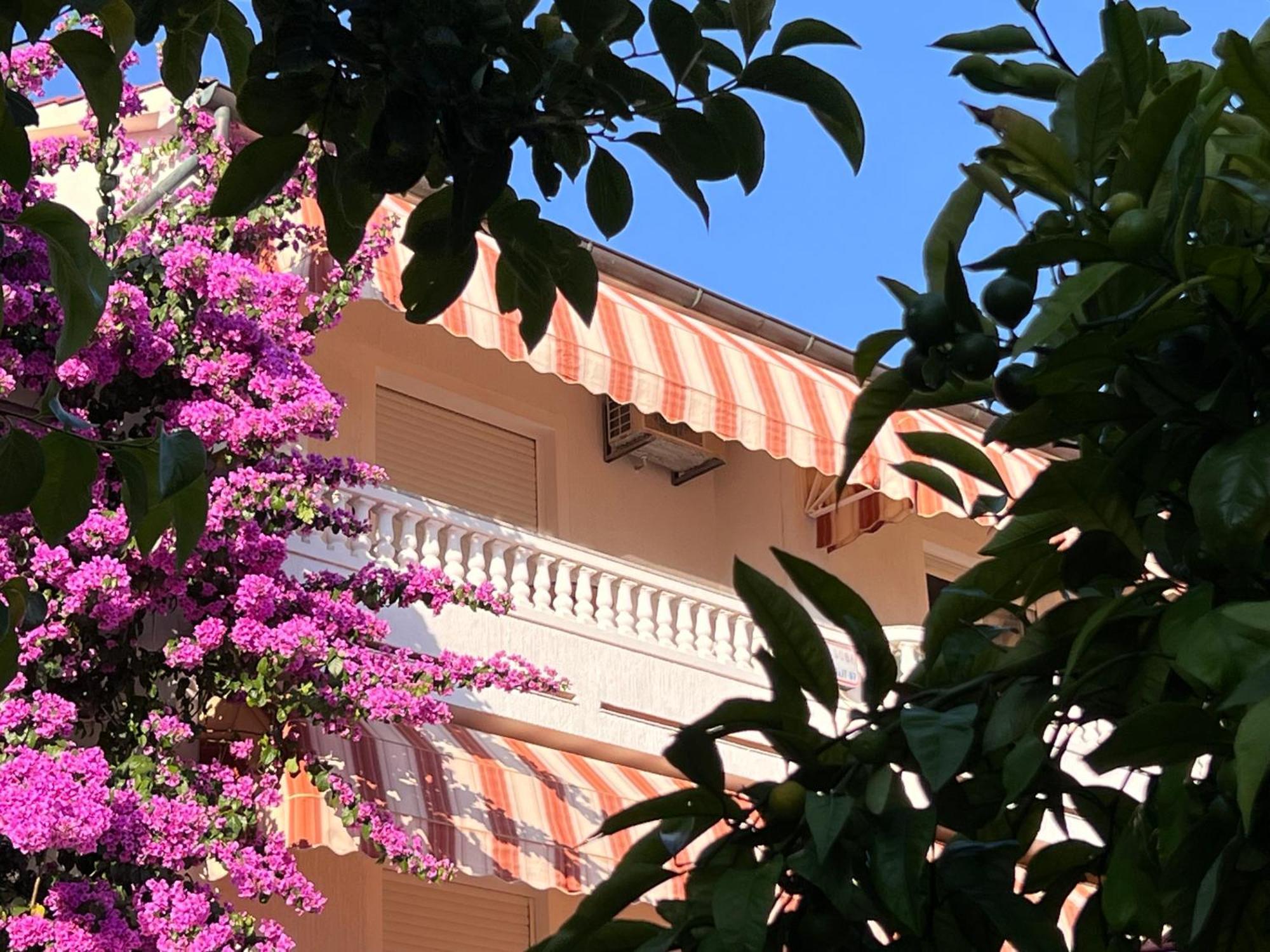 Bed & Breakfast Rab Palit Екстер'єр фото